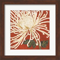 Spider Mum II Fine Art Print