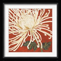 Spider Mum II Fine Art Print