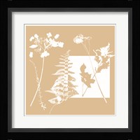 Yin Yang II Framed Print