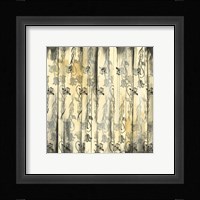 Aged Elegance III Framed Print