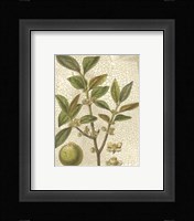 Leaves I Fine Art Print