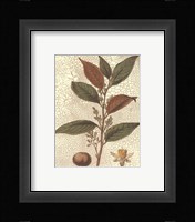 Leaves II Fine Art Print