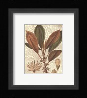 Leaves IV Fine Art Print