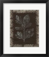 Forest Finery II Framed Print