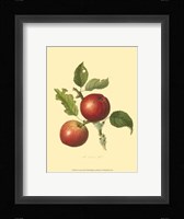 Cowarne Red Framed Print