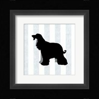 Afghan Hound In Neutral Fine Art Print