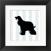 Afghan Hound In Neutral Framed Print