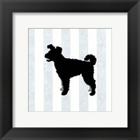 Pumi In Neutral Fine Art Print