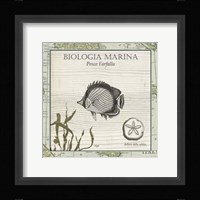 Biologia Marina I Framed Print