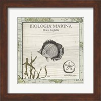 Biologia Marina I Fine Art Print