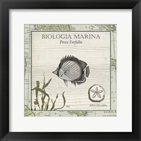 Biologia Marina I Fine Art Print