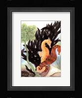 Seahorse Serenade I Fine Art Print
