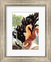 Seahorse Serenade I Fine Art Print