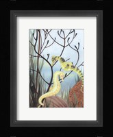 Seahorse Serenade II Fine Art Print