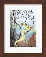 Seahorse Serenade II Fine Art Print