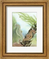 Seahorse Serenade IV Fine Art Print