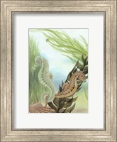 Seahorse Serenade IV Fine Art Print