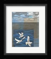 Three White Gulls I Framed Print