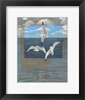 Three White Gulls II Framed Print