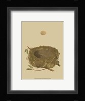 Antique Nest Egg I Fine Art Print
