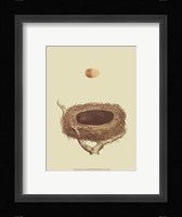 Antique Nest Egg III Fine Art Print