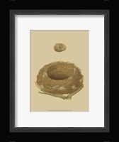 Antique Nest Egg IV Fine Art Print