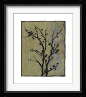 Branch In Silhouette III Framed Print