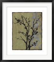 Branch In Silhouette III Framed Print