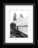 Conservatory IV Giclee