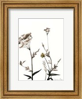 Watermark Wildflowers I Fine Art Print