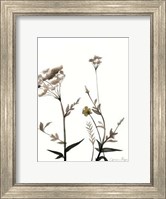 Watermark Wildflowers I Fine Art Print