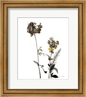 Watermark Wildflowers V Fine Art Print