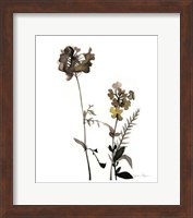 Watermark Wildflowers V Fine Art Print