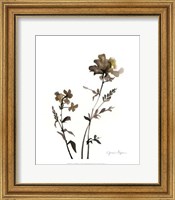 Watermark Wildflowers VI Fine Art Print