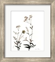 Watermark Wildflowers VII Fine Art Print