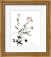 Watermark Wildflowers VIII Fine Art Print