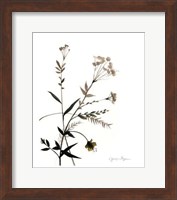 Watermark Wildflowers VIII Fine Art Print