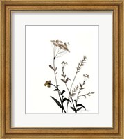 Watermark Wildflowers X Fine Art Print