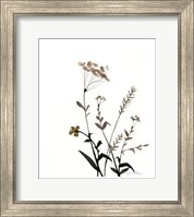 Watermark Wildflowers X Fine Art Print