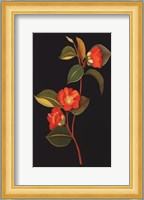 Exotic Beauty I Giclee