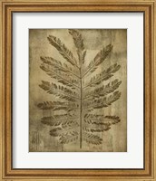 Sepia Drenched Fern I Giclee
