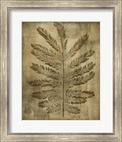 Sepia Drenched Fern I Giclee