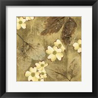 Sun-Kissed Dogwoods II Giclee