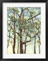 Shenandoah Sunrise I Framed Print