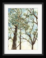 Shenandoah Sunrise II Framed Print