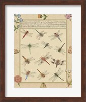 Dragonfly Manuscript I Giclee
