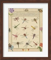Dragonfly Manuscript II Giclee