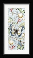 Butterfly Sky II Framed Print