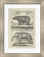 Elephant Rhino Giclee