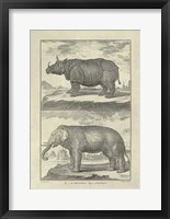 Elephant Rhino Giclee